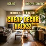 clickbait thumbnail for budget friendly home decor ideas